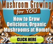Mushroom Growing 4 You